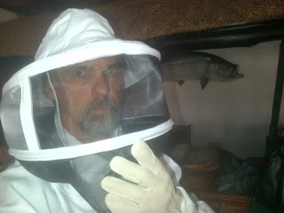 Beehive and Wasp removals &amp; Beehive establishing &amp; servicing