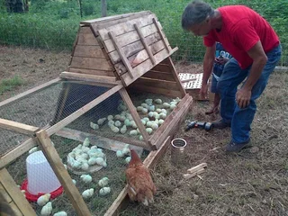 &#43;26% pa /100% secure Investment opportunities - Export Market Farm Produce under long contract