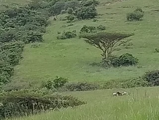 &#43;26% pa /100% secure Investment opportunities - Export Market Farm Produce under long contract