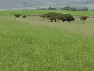 &#43;26% pa /100% secure Investment opportunities - Export Market Farm Produce under long contract