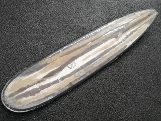 9ft Longboard Surfboard