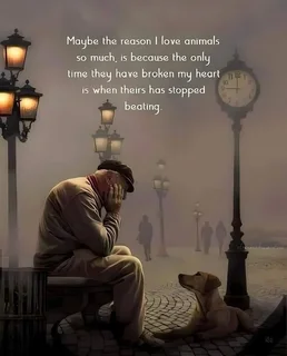 Pet Sitting Service- Small Breeds Only