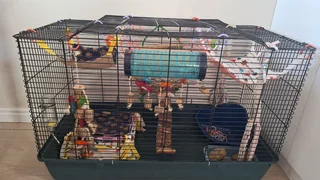Large Rat Cage + Accessories – R2,500
