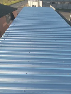 The ROOF GUY, Replace, Repair, Carport, New, Waterproofing, Painting, Western Cape ✅