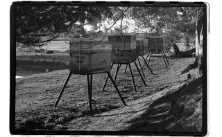 Nikkormat FTn, film tested.