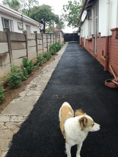 Luxurious, spacious and beautiful 6 bedroomed House with 2 bedrooms en-suite and Cottage