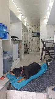 Camper / Touring Truck