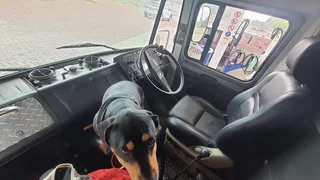 CAMPER / TOURING TRUCK