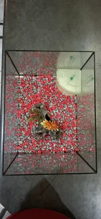 Starter Fish Tank with Lid complete with Pump