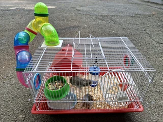 Hamster Cage