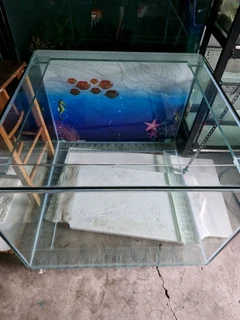 Fish Tank 800 Cube 12mm Glass