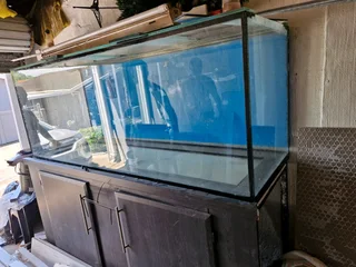 6ft Fish Tank with Stand Lid and Cannister Filter