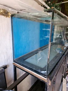 6ft Fish Tank with Stand Lid and Cannister Filter