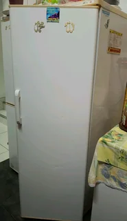 Looking for a fridge door