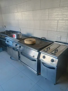 Industrial Chips fryer for sale