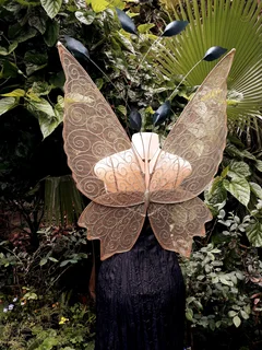 Fairy wings for Adults and Children and Wooden Viking/Knights Toys