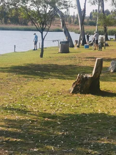 Polo vivo exhaust front half