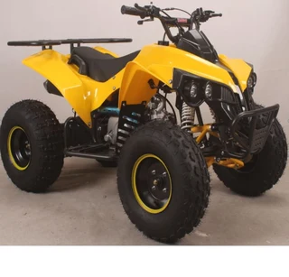 Quad Bike 125cc 4 Stroke Electric Start Automatic with Reverse