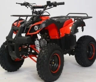 Quad Bike 125cc 4 Stroke Electric Start Automatic with Reverse with Free Front and Back Racks