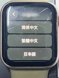Apple Watch Series 6 GPS LTE