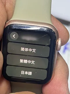 Apple Watch Series 6 GPS LTE