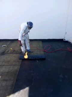 PAINTER PROFESSIONAL/WATERPROOFER/WALLPAPERER!