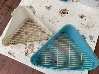 Pet - Rabbit Toilets