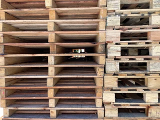 Wooden pallets / hout palette