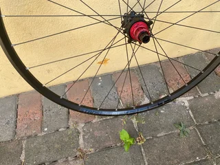 Stans Crest S1 wheels non boost