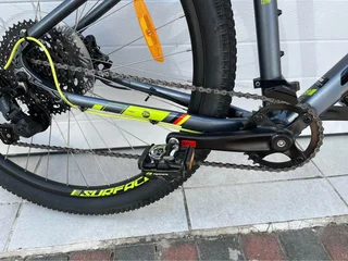 Large Silverback Stride Comp