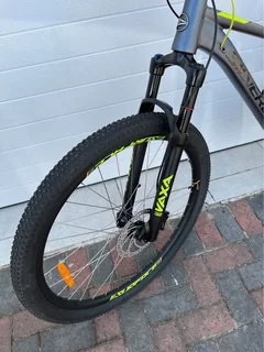 Large Silverback Stride Comp