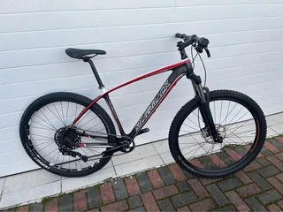 Carbon Hardtail Large  1x great condition
