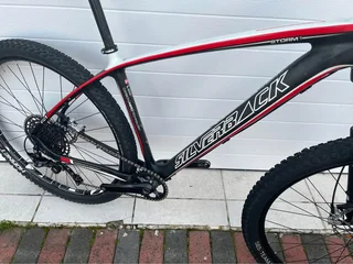 Carbon Hardtail Large  1x great condition