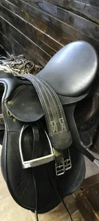 17&#34; Black Wintec 250 GP