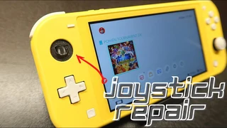 Nintendo Switch Lite Analogs