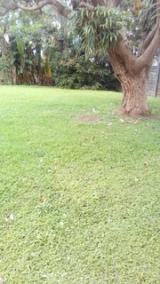 Self catering holiday cottage in central Westville