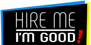 IT Professional Looking for Work