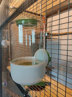 Brand new water feeders