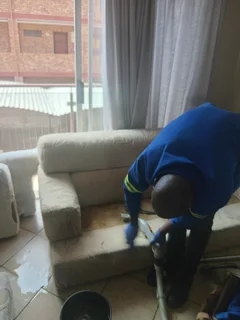 Carpet and couch cleaning