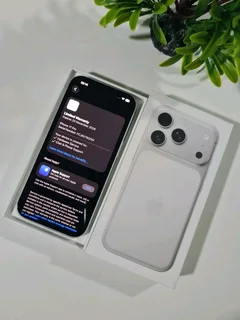 iPhone 17 Pro 256GB Silver