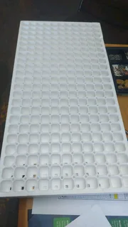 Seedling trays 200 holes polystyrene
