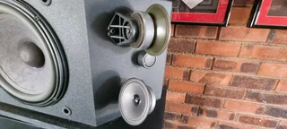 BOSE 301 SERIES iii (Pair) 0️⃣7️⃣2️⃣3️⃣9️⃣2️⃣5️⃣7️⃣5️⃣6️⃣