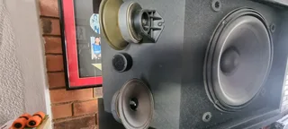 BOSE 301 SERIES iii (Pair) 0️⃣7️⃣2️⃣3️⃣9️⃣2️⃣5️⃣7️⃣5️⃣6️⃣