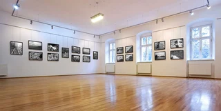 STAS Hanging Picture System