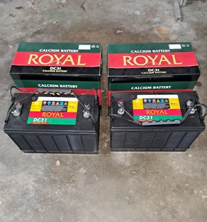 Royal DC31 Batteries