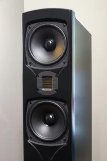 GOLDENEAR TRITON 5 LOUDSPEAKERS