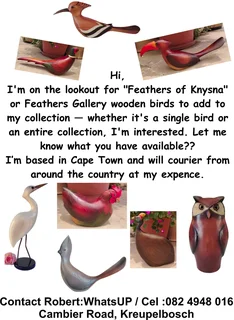 Feathers of Knysna wooden birds