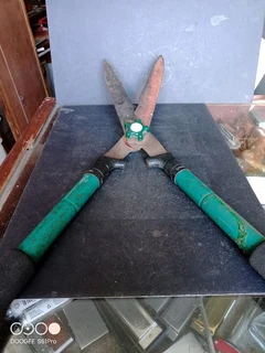 RACO SHEARs HEDGE TELESCOPIC