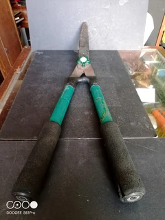 RACO SHEARs HEDGE TELESCOPIC