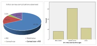 Education Assistance - Research, editing, proofreading, data analysis.